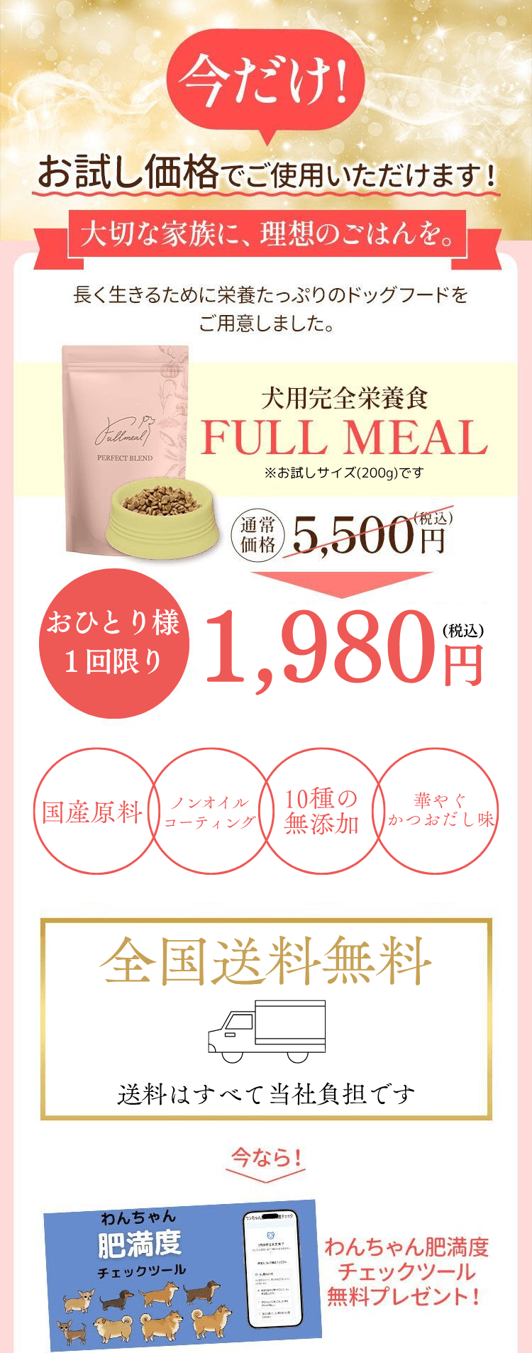 今だけお試し価格でご使用いただけます！